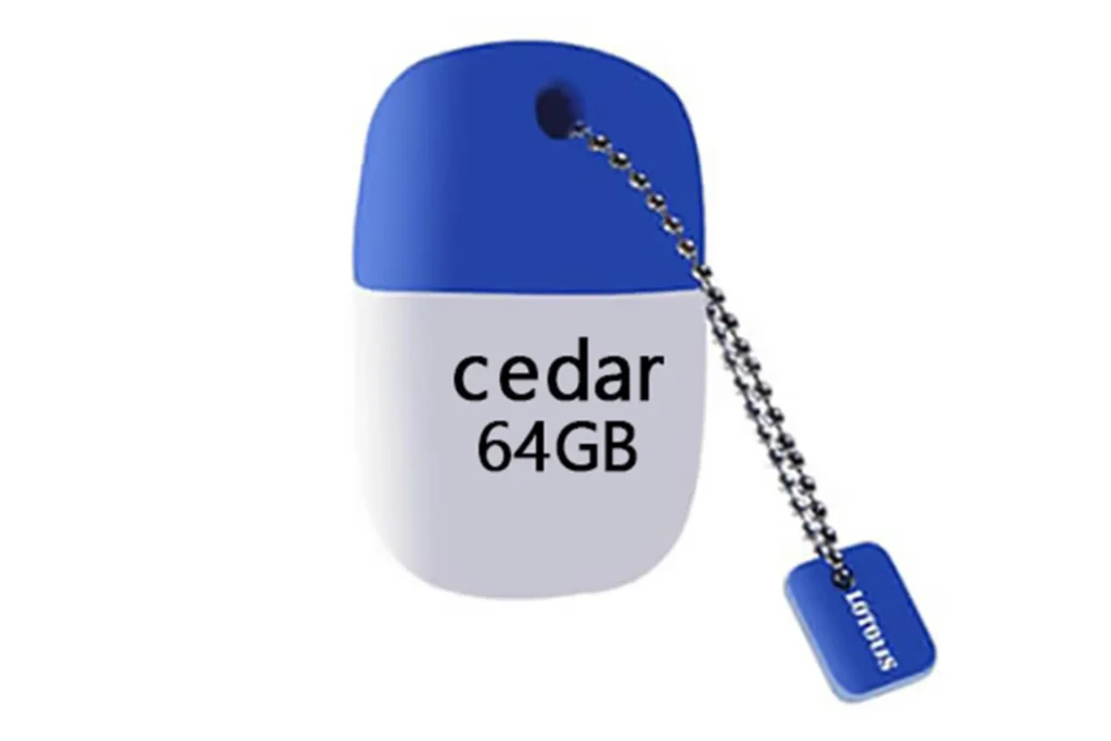 فلش لوتوس مدل cedar ظرفیت 64 گیگ